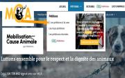 20260606-13h48-mcapetitions-animaux_0.jpg